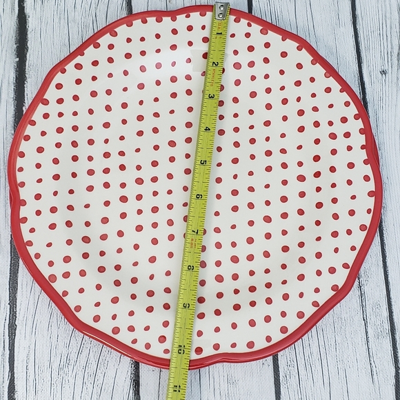 10"Pioneer Woman Plates Dinner Polka Dot Floral Edge Scalloped Edge - Picture 5 of 5